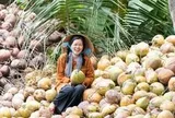 Bán dừa, nha đam, trái cây khắp thế giới, DN Việt thu hơn 8.200 tỷ đồng, lợi nhuận tăng 72% sau 6T2026