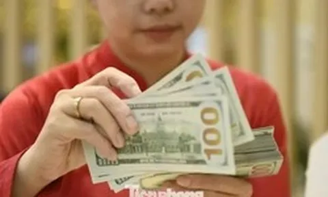 Lý do dự trữ ngoại hối từ kỷ lục hơn 111 tỷ USD 'rơi' xuống gần 88 tỷ USD