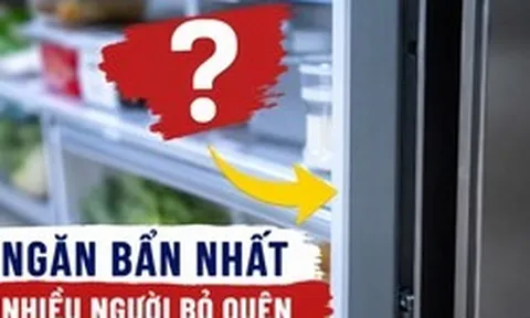 Phát hiện ngăn bẩn nhất trong tủ lạnh, nhiều người chưa từng vệ sinh