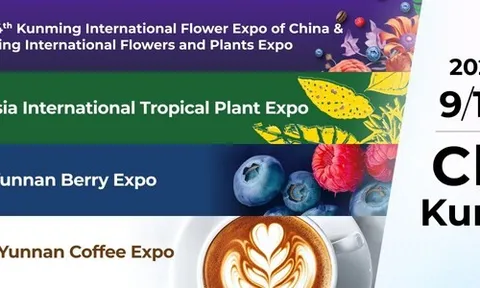 Xuất khẩu hoa của Vân Nam duy trì đà tăng trưởng mạnh mẽ trước thềm IFEX Kunming 2026