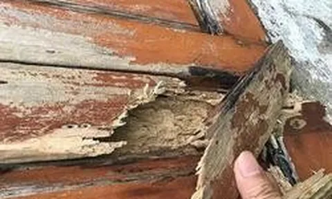 Thợ mộc lâu năm chỉ ra cách nhận biết cửa gỗ, tủ gỗ trong nhà bị mối, mọt nghiêm trọng: Nhiều người từng thấy nhưng lại bỏ qua